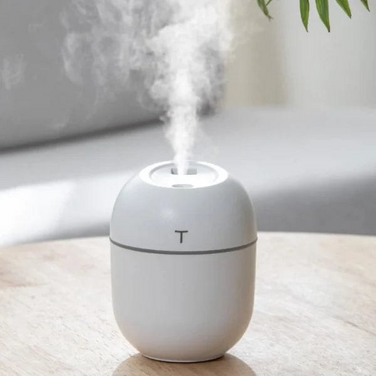 Aura Mini Humidifier & Aroma Diffuser